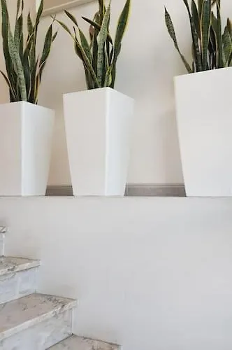 Apartment Piso *