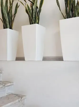 Apartment Piso *